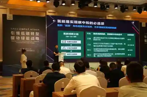 實現碳中和，氫能是可選項還是必選項？
